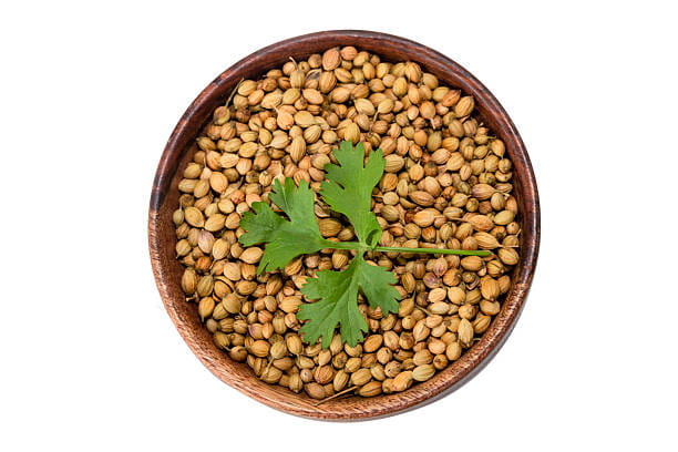 تصویر 3 از قیمت خرید تخم گشنیز خوش عطر عمده به صرفه و ارزان